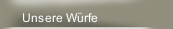 Unsere W&uuml;rfe