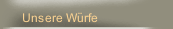 Unsere W&uuml;rfe