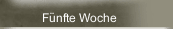 F&uuml;nfte Woche